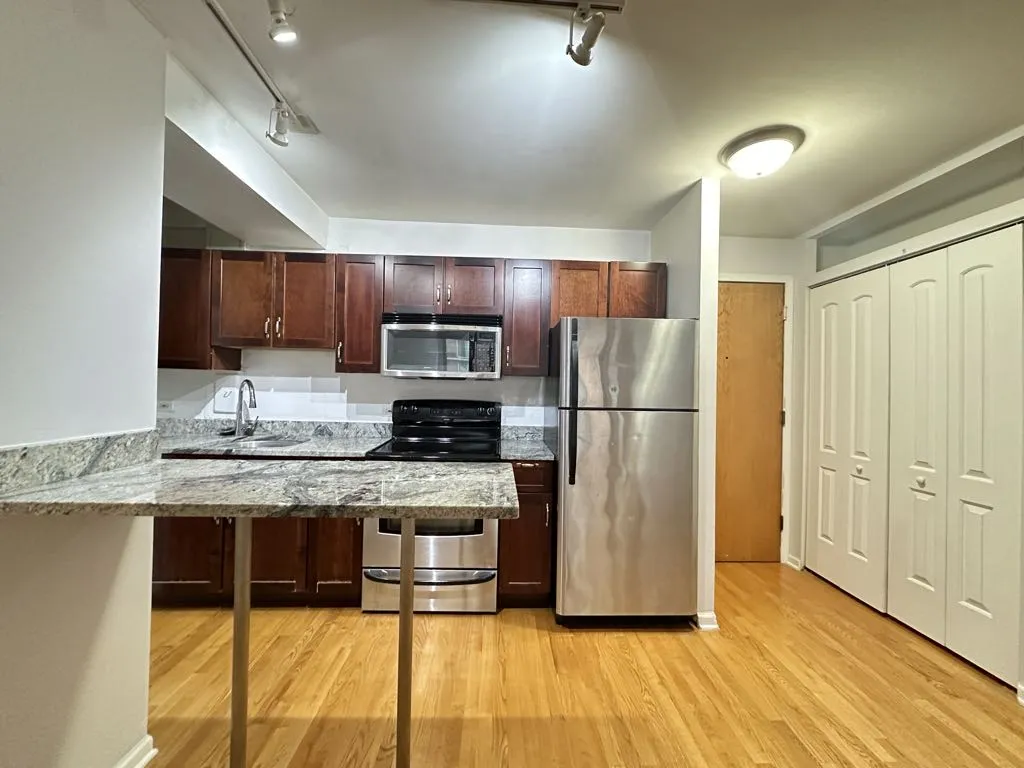 4180 N Marine Dr, , 60613, USA 60613-unit#1501-Chicago-IL