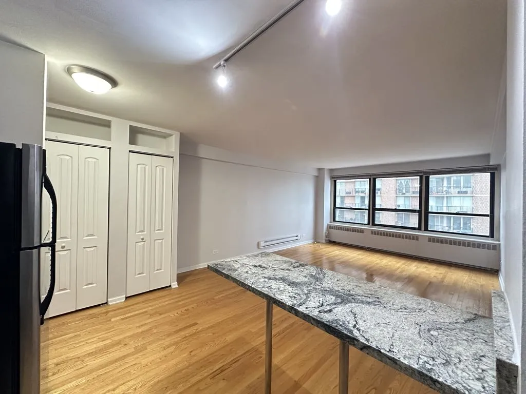 4180 N Marine Dr, , 60613, USA 60613-unit#1501-Chicago-IL