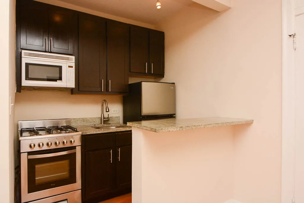 4614 N Paulina St, ,  60640, USA 60640-unit#209-Chicago-IL