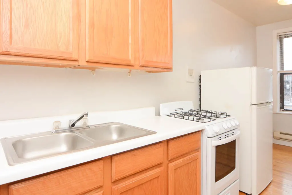 1050 W George St, ,  60657, USA 60657-unit#308-Chicago-IL