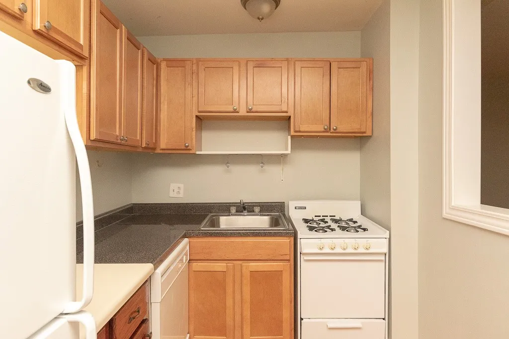 1347 N Dearborn St, ,  60610, USA 60610-unit#207-Chicago-IL