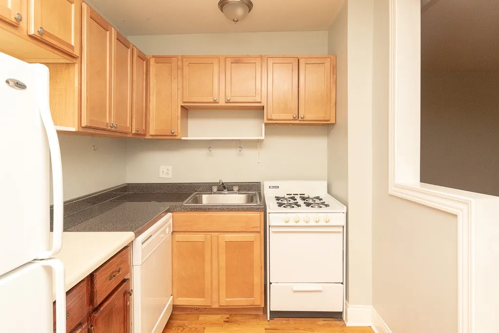 1347 N Dearborn St, ,  60610, USA 60610-unit#207-Chicago-IL