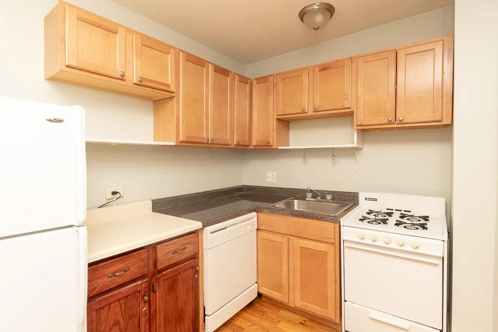 1347 N Dearborn St, ,  60610, USA 60610-unit#207-Chicago-IL