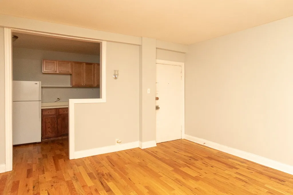 1347 N Dearborn St, ,  60610, USA 60610-unit#207-Chicago-IL