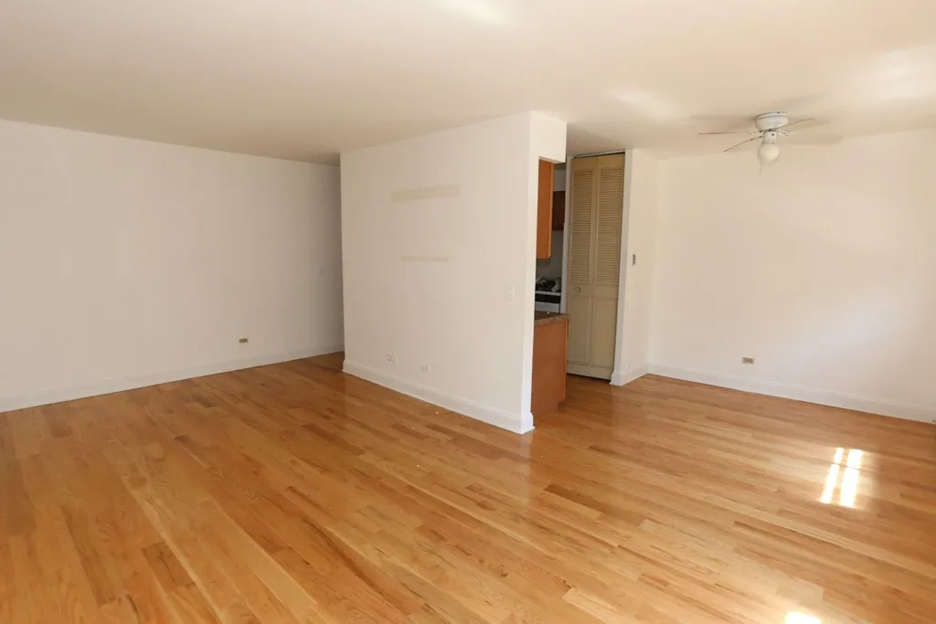 510 W Briar Pl, ,  60657, USA 60657-unit#209-Chicago-IL