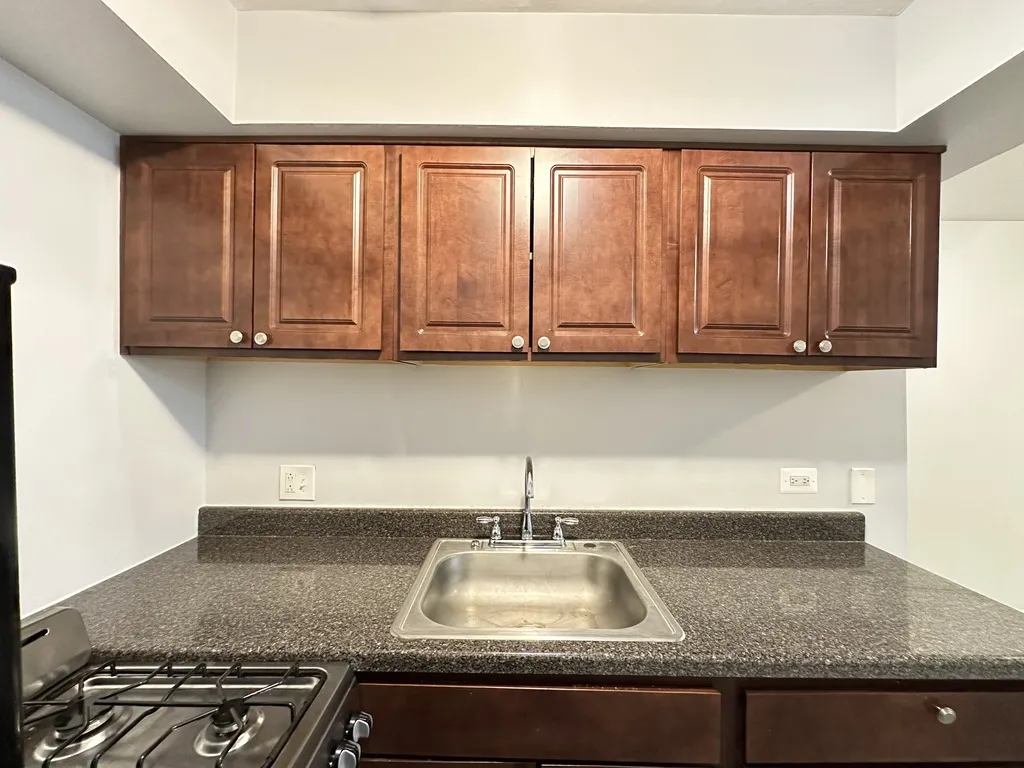 1040 W Hollywood Ave, ,  60660, USA 60660-unit#218-Chicago-IL