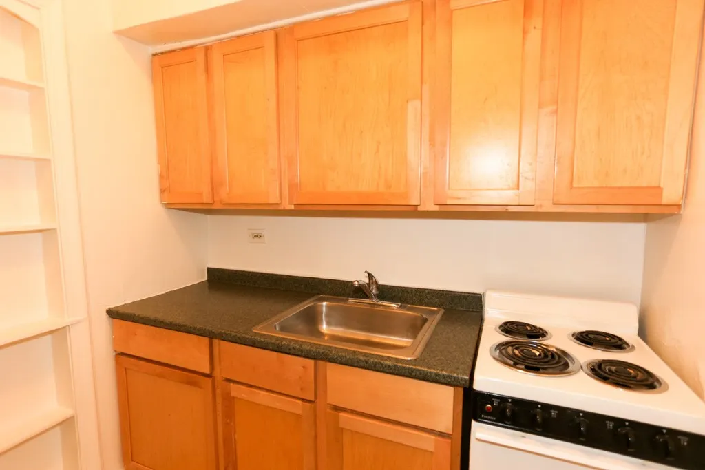 536 W Arlington Pl, ,  60614, USA 60614-unit#109-Chicago-IL