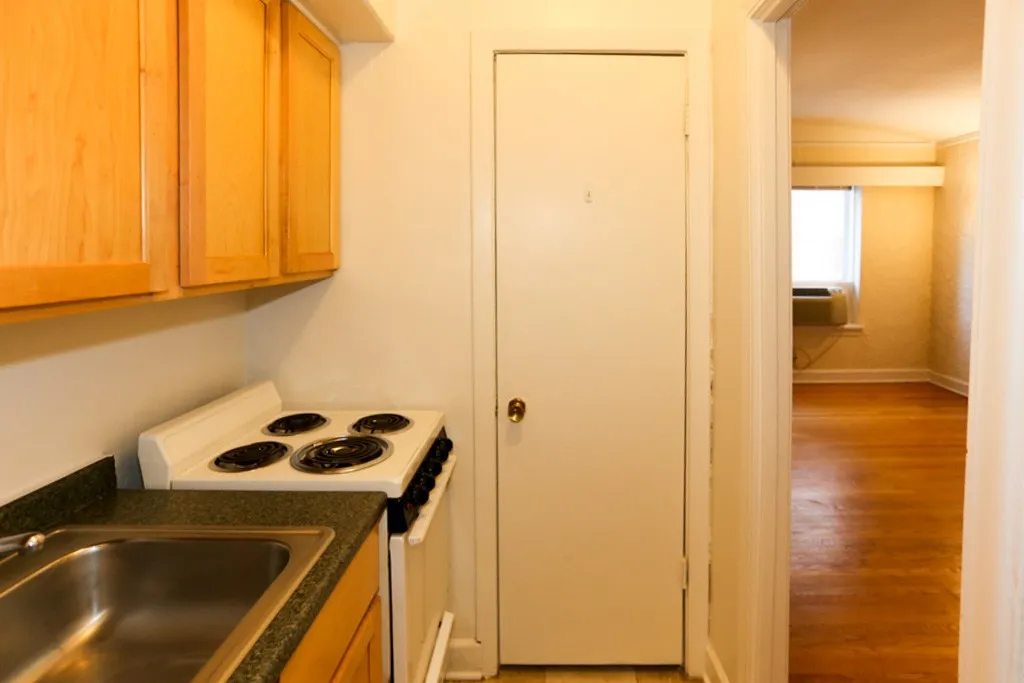 536 W Arlington Pl, ,  60614, USA 60614-unit#109-Chicago-IL