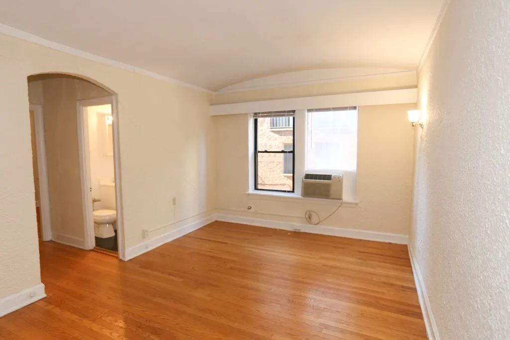 536 W Arlington Pl, ,  60614, USA 60614-unit#109-Chicago-IL