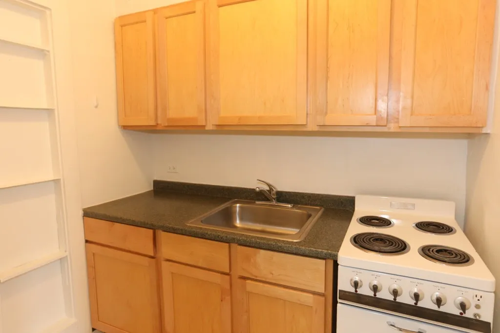 536 W Arlington Pl, ,  60614, USA 60614-unit#107-Chicago-IL