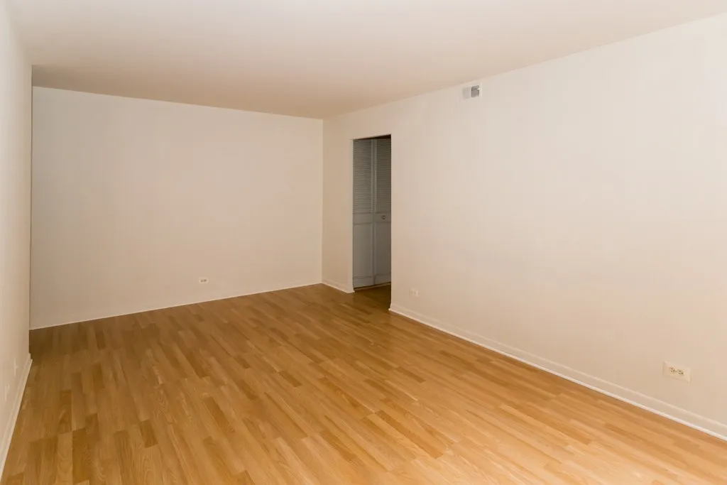 530 W Aldine Ave, ,  60657, USA 60657-unit#209-Chicago-IL