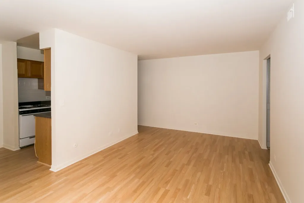 530 W Aldine Ave, ,  60657, USA 60657-unit#209-Chicago-IL