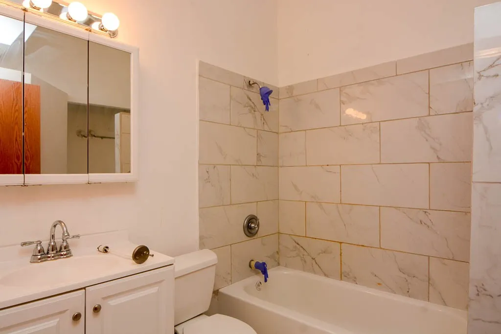 1710 N Damen Ave, ,  60647, USA 60647-unit#2-Chicago-IL
