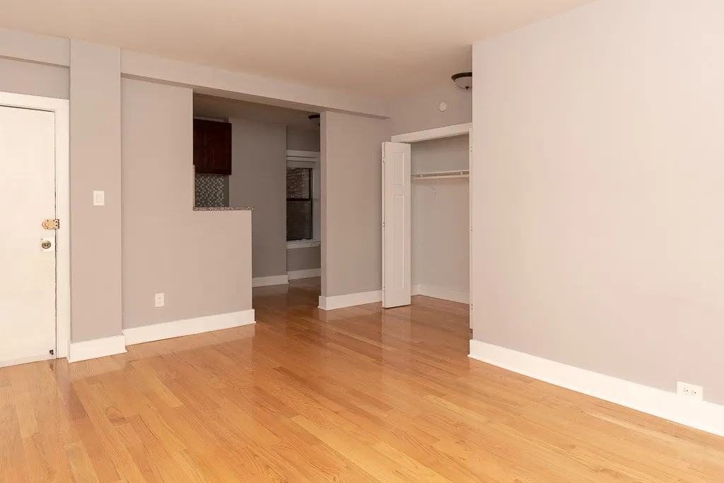 1347 N Dearborn St, , 60610, USA 60610-unit#208-Chicago-IL
