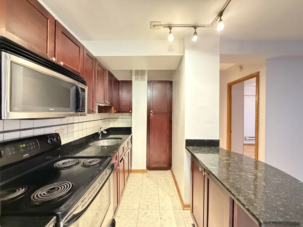 4180 N Marine Dr, , 60613, USA 60613-unit#1004-Chicago-IL