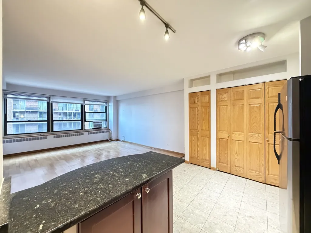 4180 N Marine Dr, , 60613, USA 60613-unit#1004-Chicago-IL