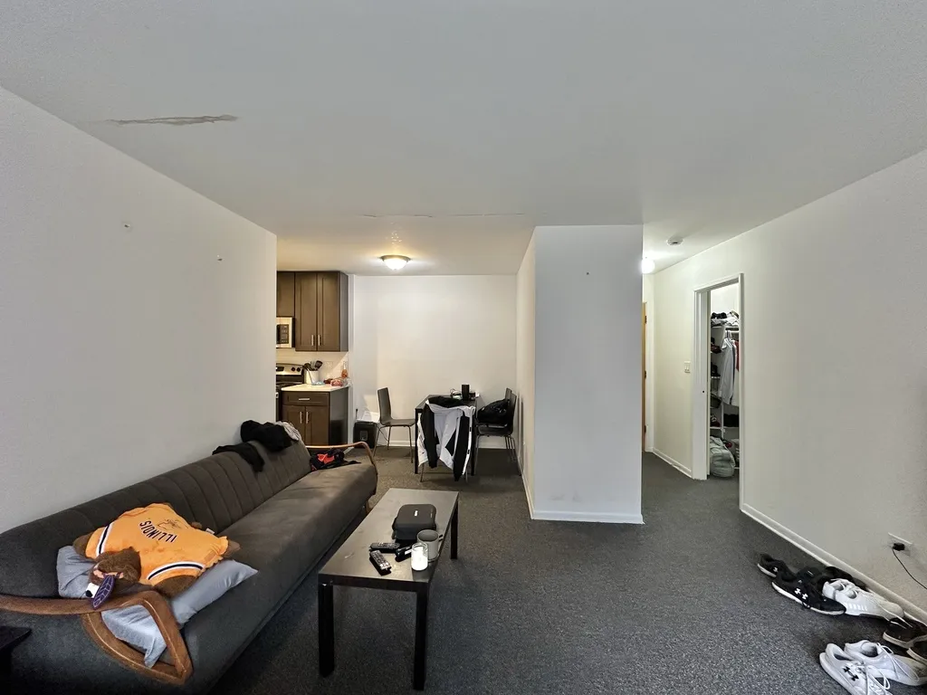 520 W Aldine Ave, , 60657, USA 60657-unit#412-Chicago-IL