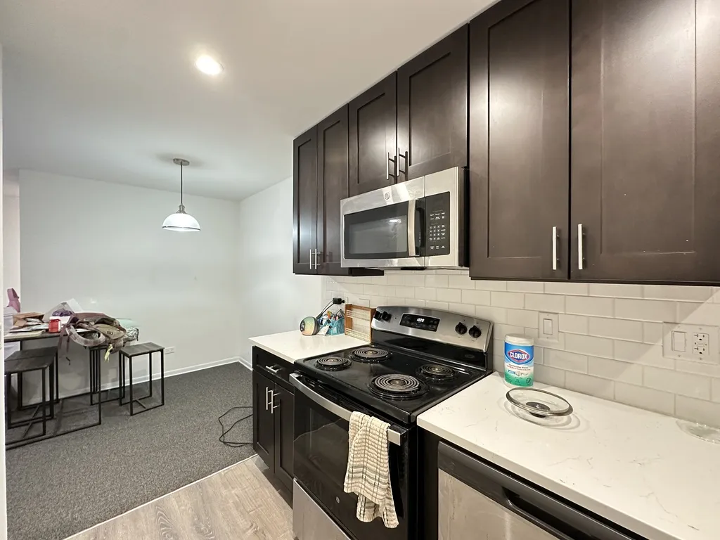 520 W Aldine Ave, , 60657, USA 60657-unit#206-Chicago-IL