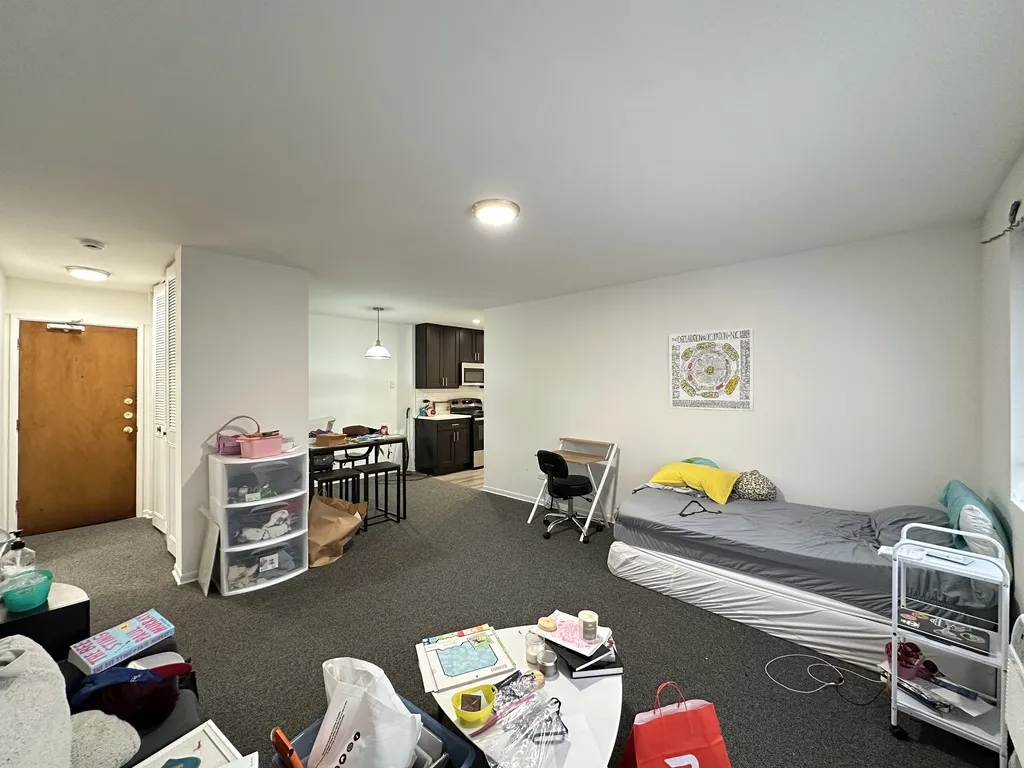 520 W Aldine Ave, , 60657, USA 60657-unit#206-Chicago-IL