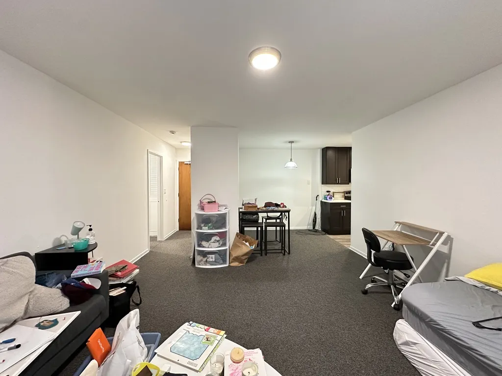 520 W Aldine Ave, , 60657, USA 60657-unit#206-Chicago-IL