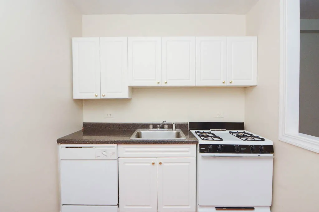 1347 N Dearborn St, ,  60610, USA 60610-Chicago-IL