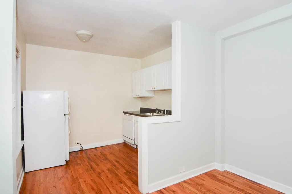 1347 N Dearborn St, ,  60610, USA 60610-Chicago-IL