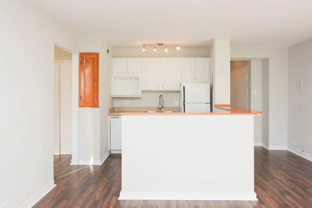 445 W Wellington Ave, ,  60657, USA 60657-unit#2E-Chicago-IL
