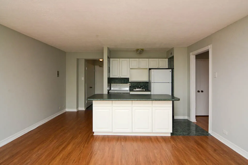 445 W Wellington Ave, ,  60657, USA 60657-unit#6D-Chicago-IL