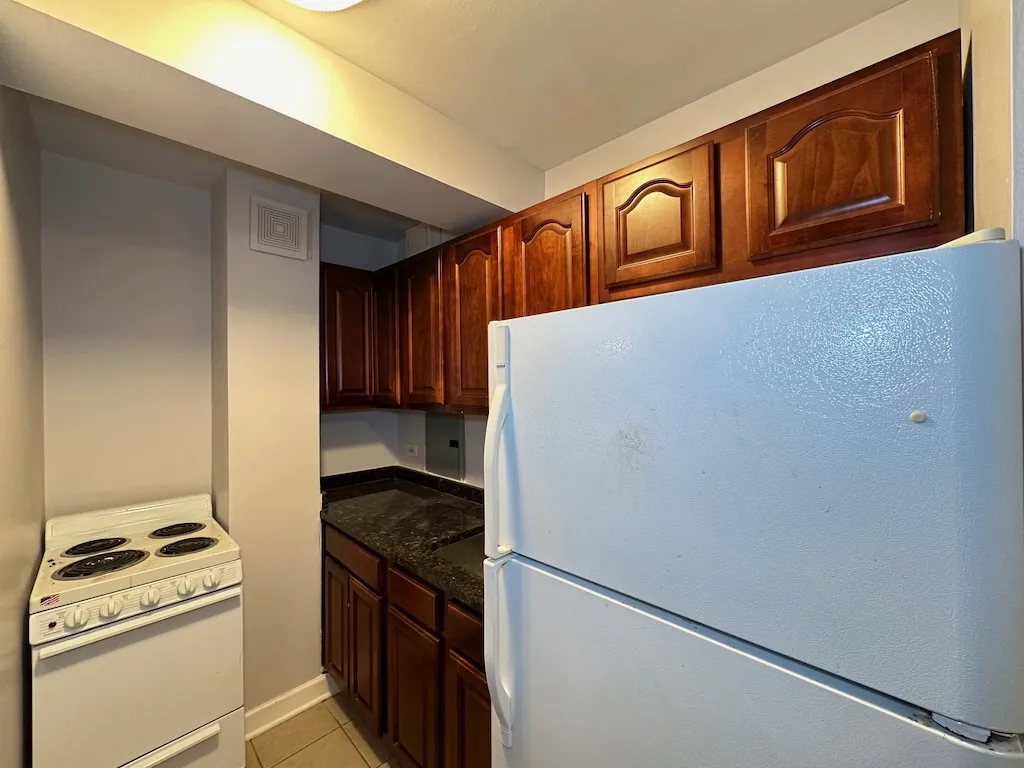 4180 N Marine Dr, , 60613, USA 60613-unit#1309-Chicago-IL