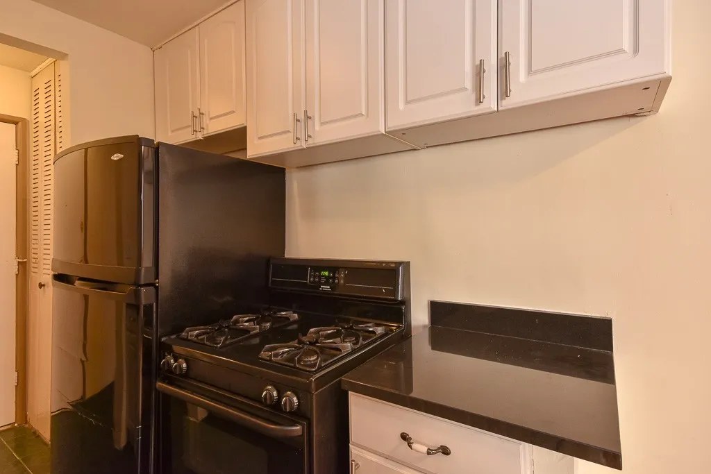 663 W Grace St, ,  60613, USA 60613-unit#314-Chicago-IL