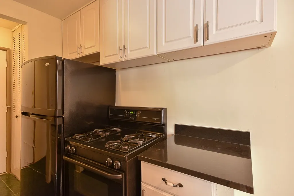 663 W Grace St, ,  60613, USA 60613-unit#314-Chicago-IL