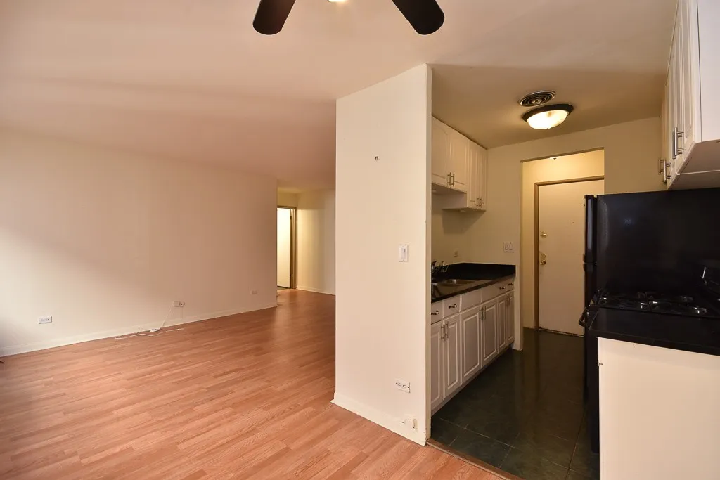 663 W Grace St, ,  60613, USA 60613-unit#314-Chicago-IL