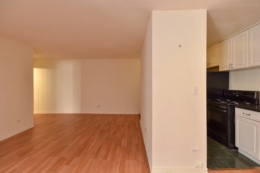 663 W Grace St, ,  60613, USA 60613-unit#314-Chicago-IL
