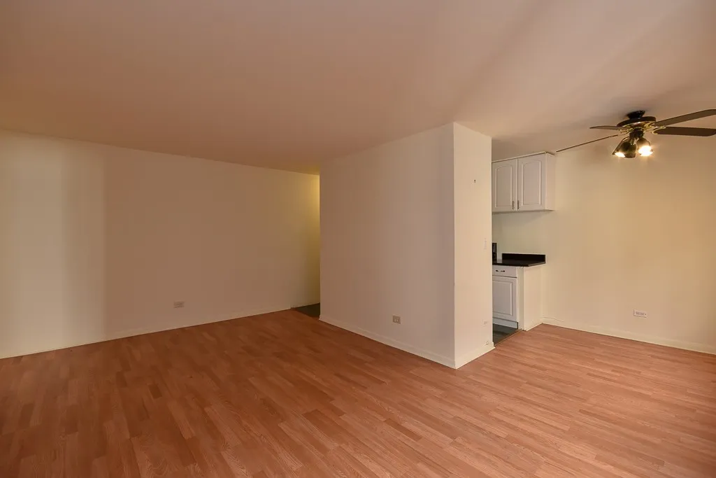 663 W Grace St, ,  60613, USA 60613-unit#314-Chicago-IL