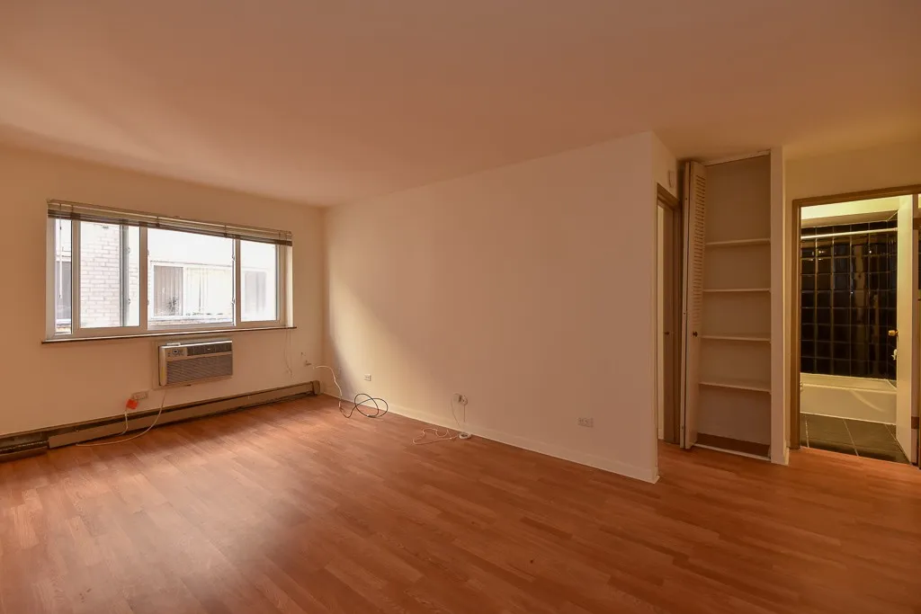 663 W Grace St, ,  60613, USA 60613-unit#314-Chicago-IL