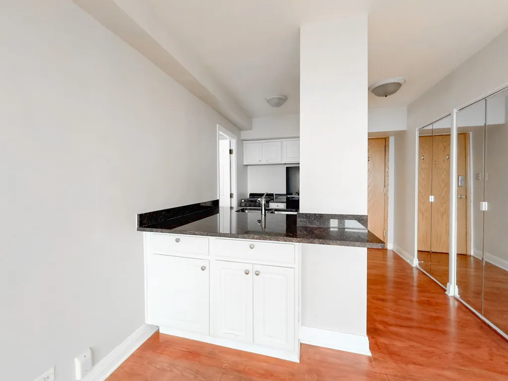 4180 N Marine Dr, , 60613, USA 60613-unit#1506-Chicago-IL