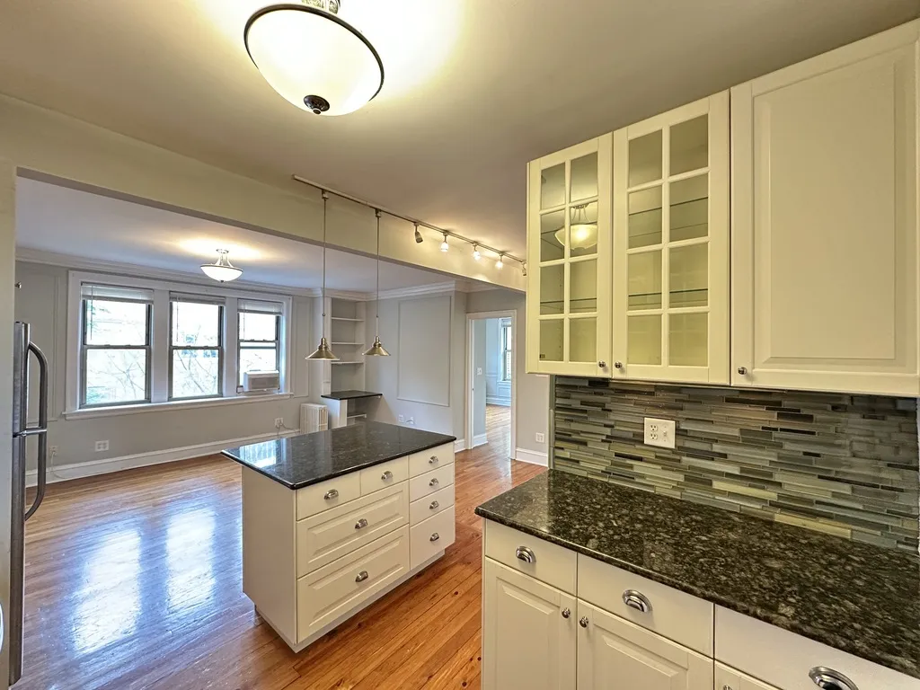 540 W Surf St, ,  60657, USA 60657-unit#3S-Chicago-IL