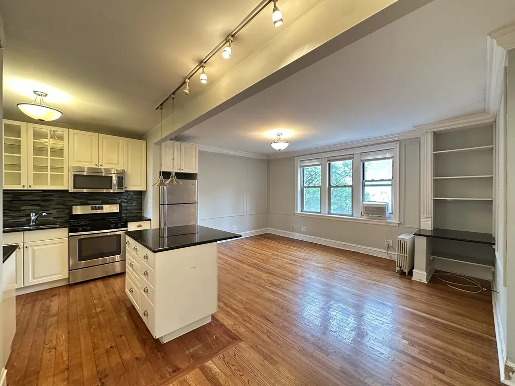 540 W Surf St, ,  60657, USA 60657-unit#3S-Chicago-IL