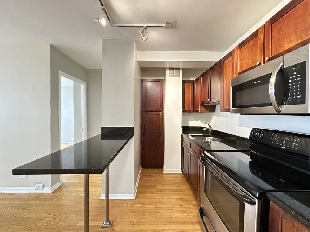 4180 N Marine Dr, , 60613, USA 60613-unit#1603-Chicago-IL