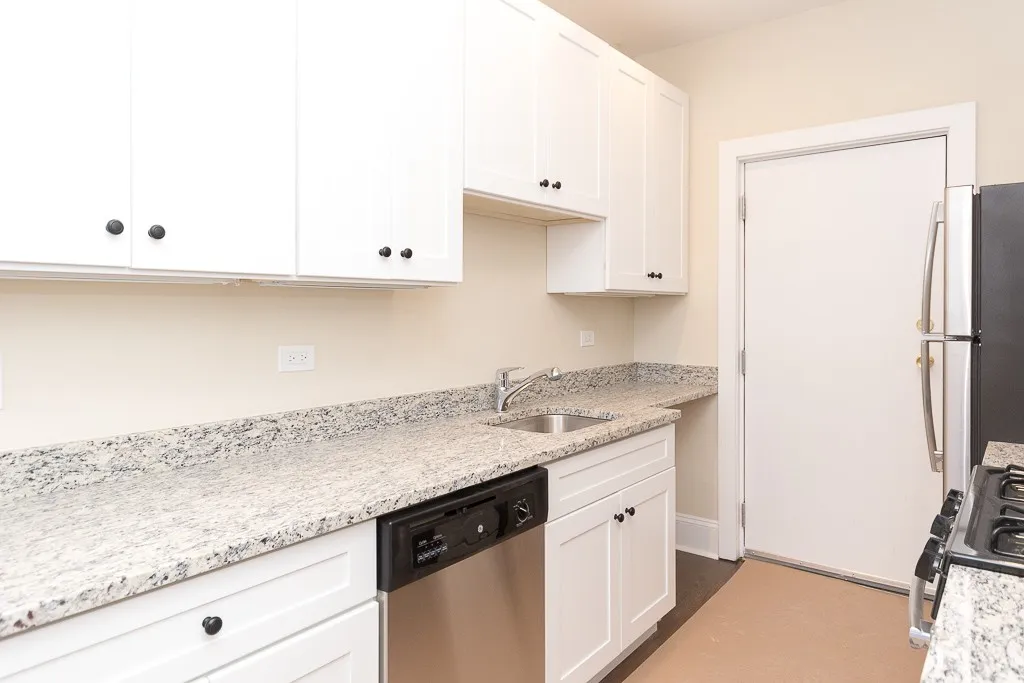 1360 E 52nd St, ,  60615, USA 60615-unit#1N-Chicago-IL