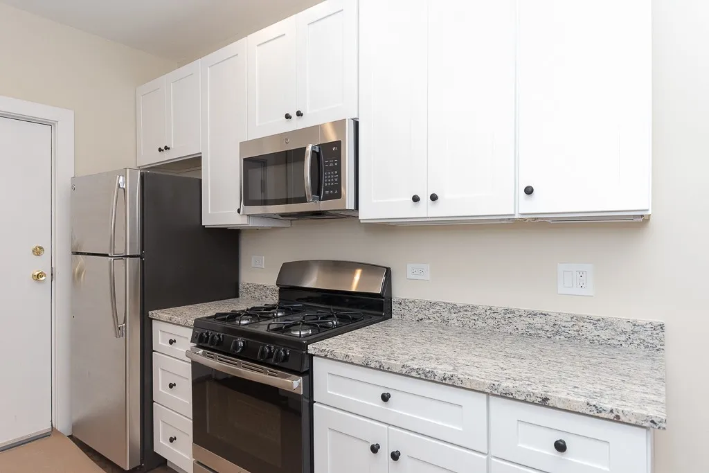 1360 E 52nd St, ,  60615, USA 60615-unit#1N-Chicago-IL