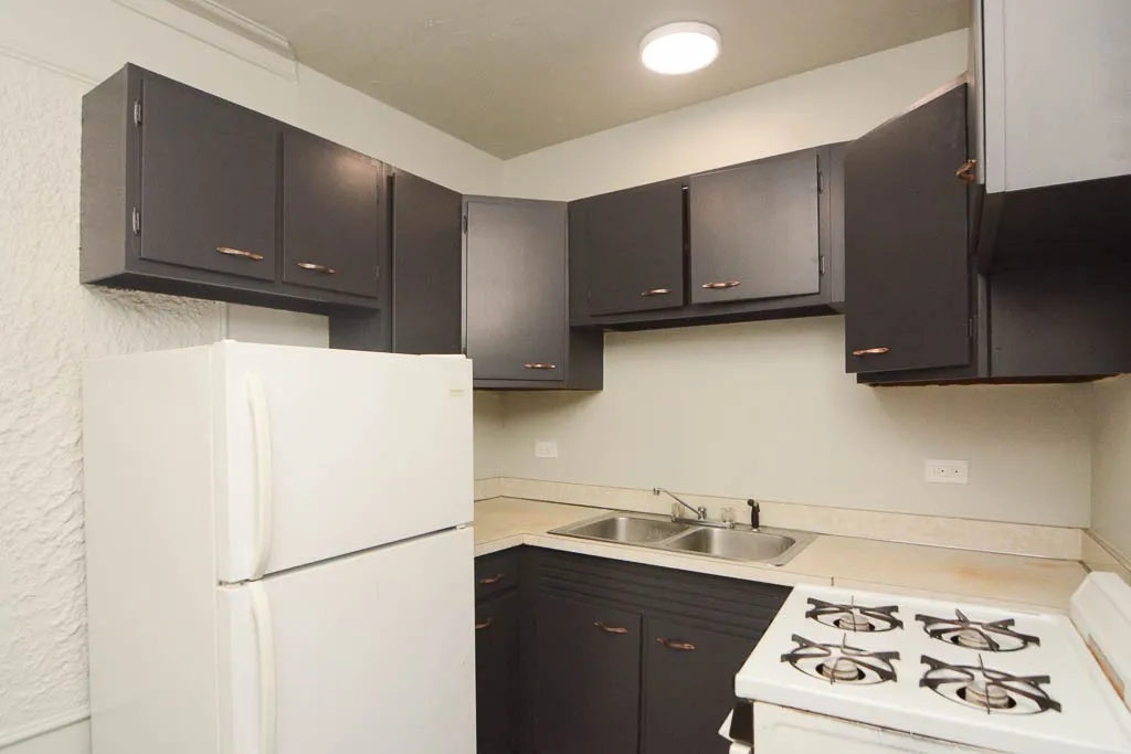 1347 N Dearborn St, , 60610, USA 60610-unit#505-Chicago-IL