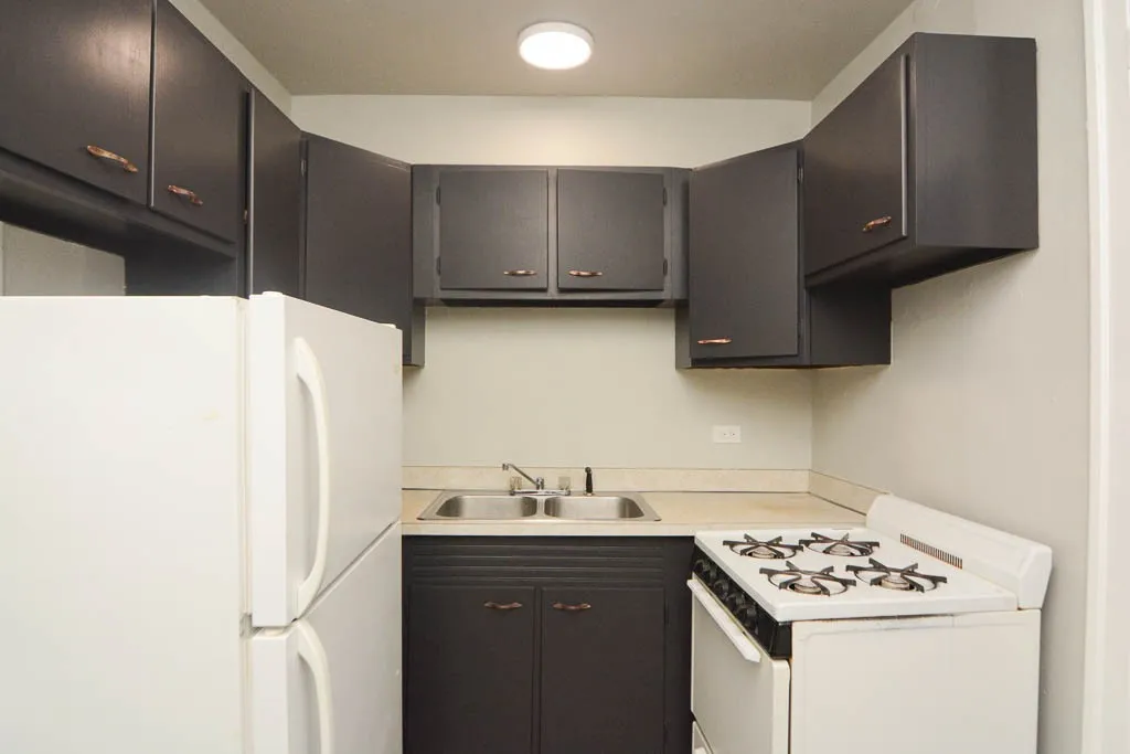 1347 N Dearborn St, , 60610, USA 60610-unit#505-Chicago-IL