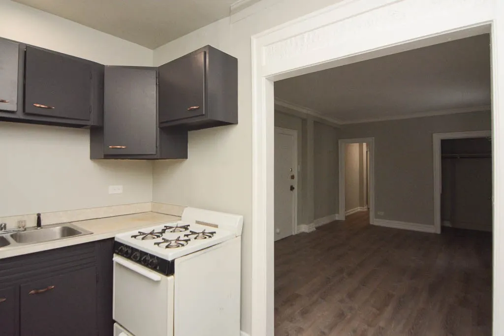 1347 N Dearborn St, , 60610, USA 60610-unit#505-Chicago-IL