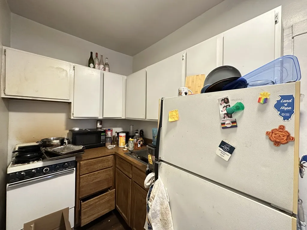 3034 N Halsted St, , 60657, USA 60657-unit#1C-Chicago-IL