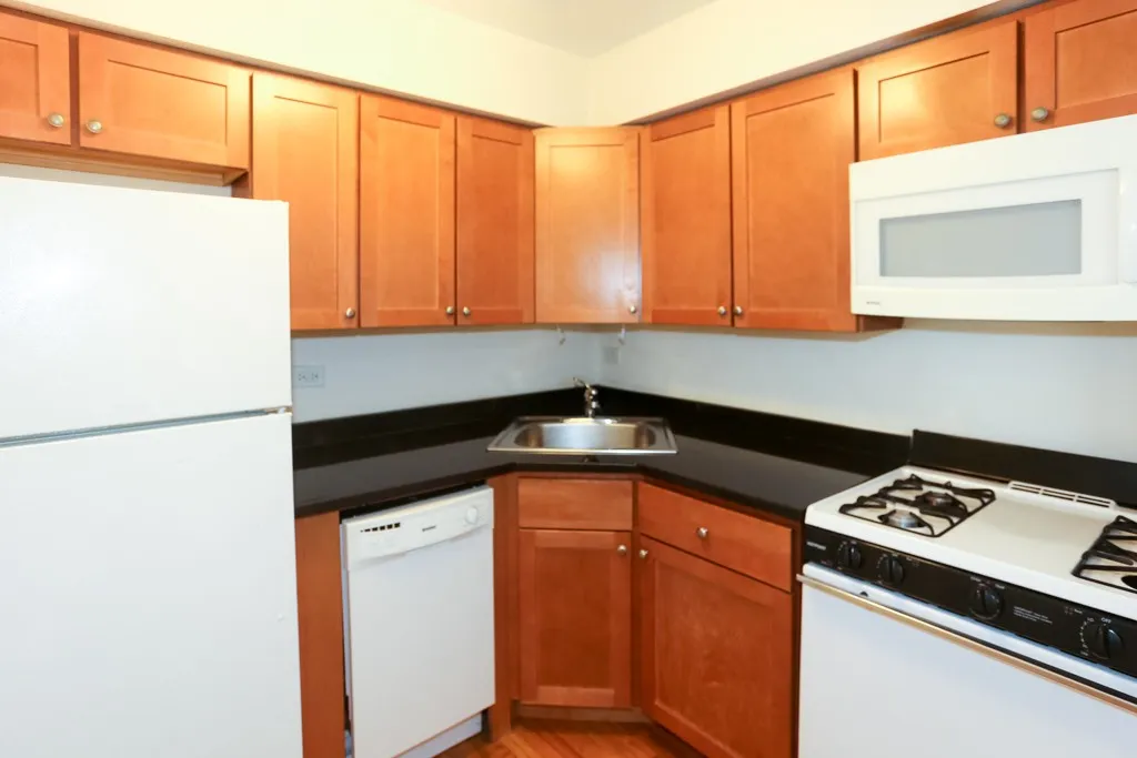 525 W Oakdale Ave, ,  60657, USA 60657-unit#209-Chicago-IL