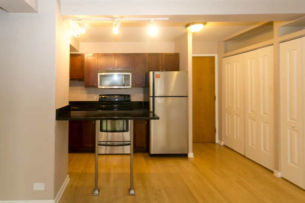 4180 N Marine Dr, , 60613, USA 60613-unit#202-Chicago-IL