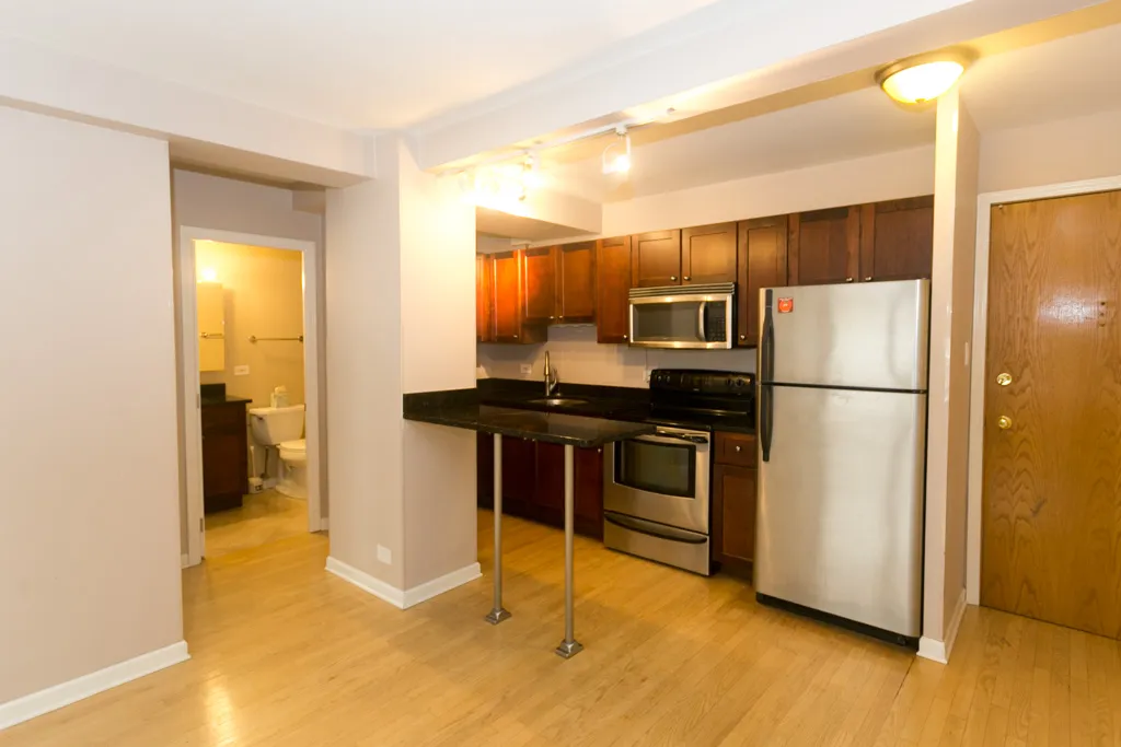 4180 N Marine Dr, , 60613, USA 60613-unit#202-Chicago-IL
