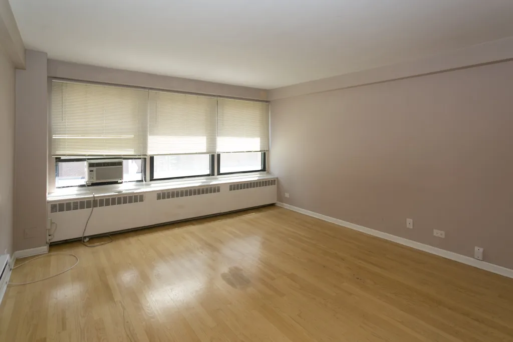 4180 N Marine Dr, , 60613, USA 60613-unit#202-Chicago-IL