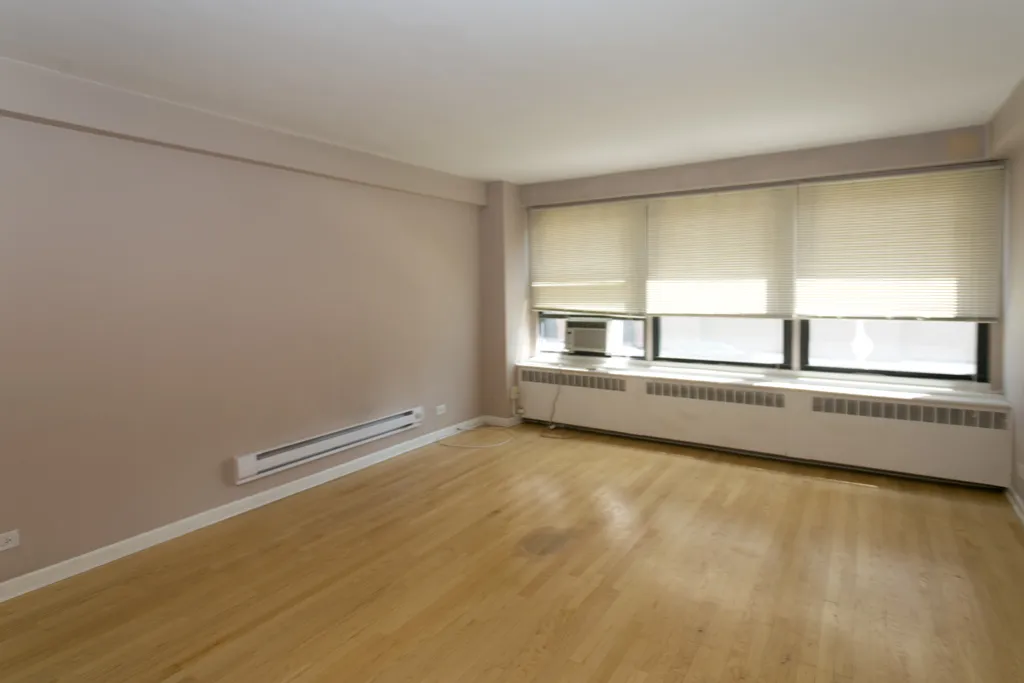 4180 N Marine Dr, , 60613, USA 60613-unit#202-Chicago-IL